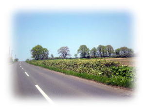 道路の写真４